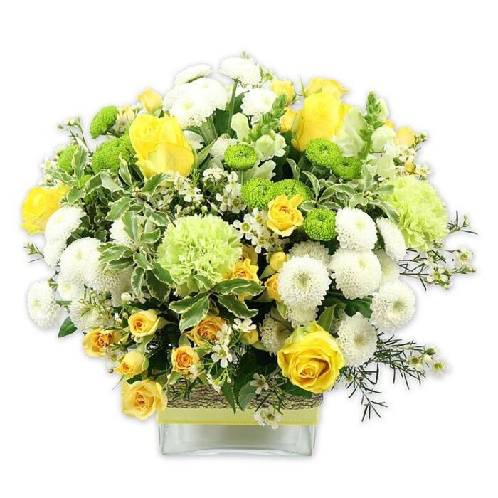 A beautifully balanced, dome-shaped bouquet in a palette of sunny yellows, crisp whites, and fresh greens rests in a low, rectangular glass vase, photographed against a plain white background that lets the colours sing. In the centre, rich yellow roses provide a radiant focal point, some blossoms fully open to reveal generous layers of velvety petals, while others remain in bud, hinting at days of enjoyment to come. Nearby, clusters of yellow spray roses add to the impression of abundance, their smaller, multi-headed stems filling the design with cheerful detail. White pompom chrysanthemums are scattered throughout, their neat, spherical blooms packed with tiny petals, creating a soft, cloud-like effect that contrasts gently with the sharper outlines of the roses. Threaded among them are bright lime green button chrysanthemums, miniature globes of vivid colour that bring energy and a modern edge to the bouquet. Larger, frilly pale green flowers-resembling decorative carnations or speciality green mums-introduce a lovely ruffled texture, deepening the arrangement's green notes without overpowering the yellow. The entire bouquet is cradled by a rich collar of foliage: glossy dark leaves, fine, feathery stems of filler greenery, and broad, variegated leaves with creamy white edges that echo the purity of the white blooms. Tiny, starlike white filler flowers flicker between the larger blossoms, adding airiness and a sense of movement as though a soft breeze had stirred them. Around the middle of the vase, a band of rustic, natural fibre or bark is wrapped snugly, finished with a pale lime or yellow ribbon that ties together the colour story. This arrangement feels perfectly at home in Ickenham-like a vase of sunshine set on a windowsill overlooking Swakeleys Lake or a cosy front room off Long Lane. It would make an ideal centerpiece for a family celebration, a thoughtful "thinking of you" delivery to a neighbour, or a joyful gift that brings light and freshness into any Ickenham home.